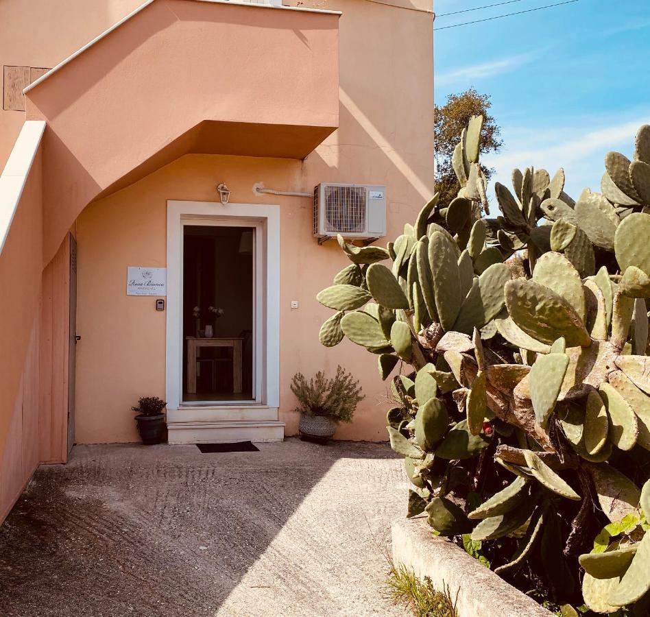 Rosa Bianca Apartment Kanali  Luaran gambar